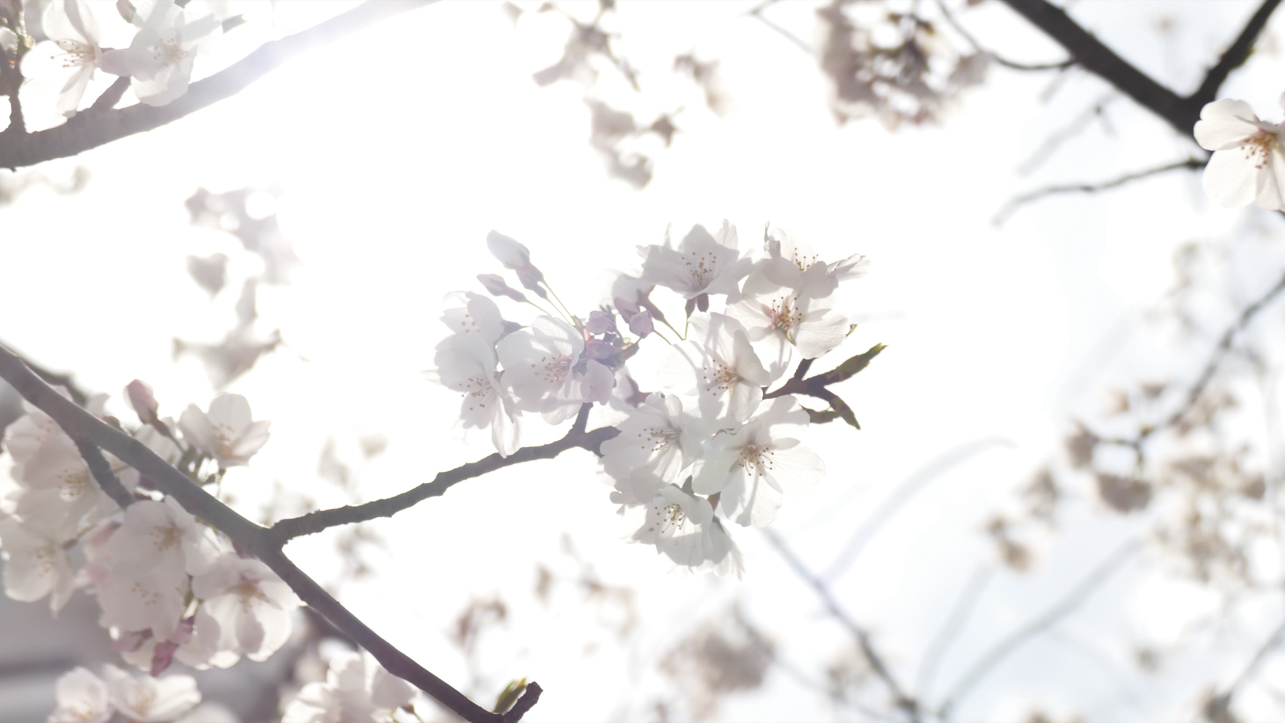 Travel photography by yuxi